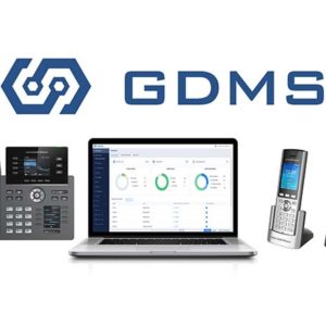 GDMS_front